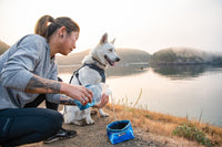 Ruffwear Quencher Bowl